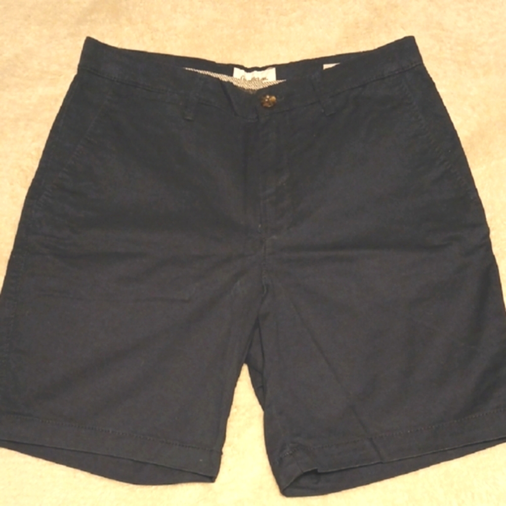 Goodfellow Blue Khaki Shorts